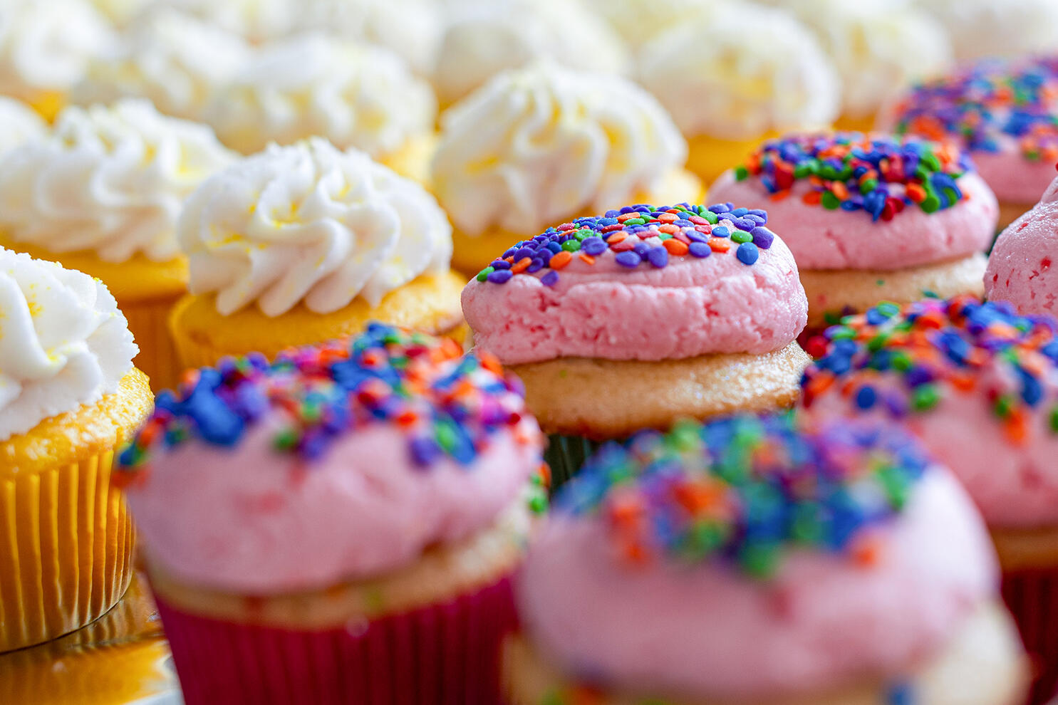 Commercial food photography cupcakes baking bakery by Tampa Sidney Oster Photography