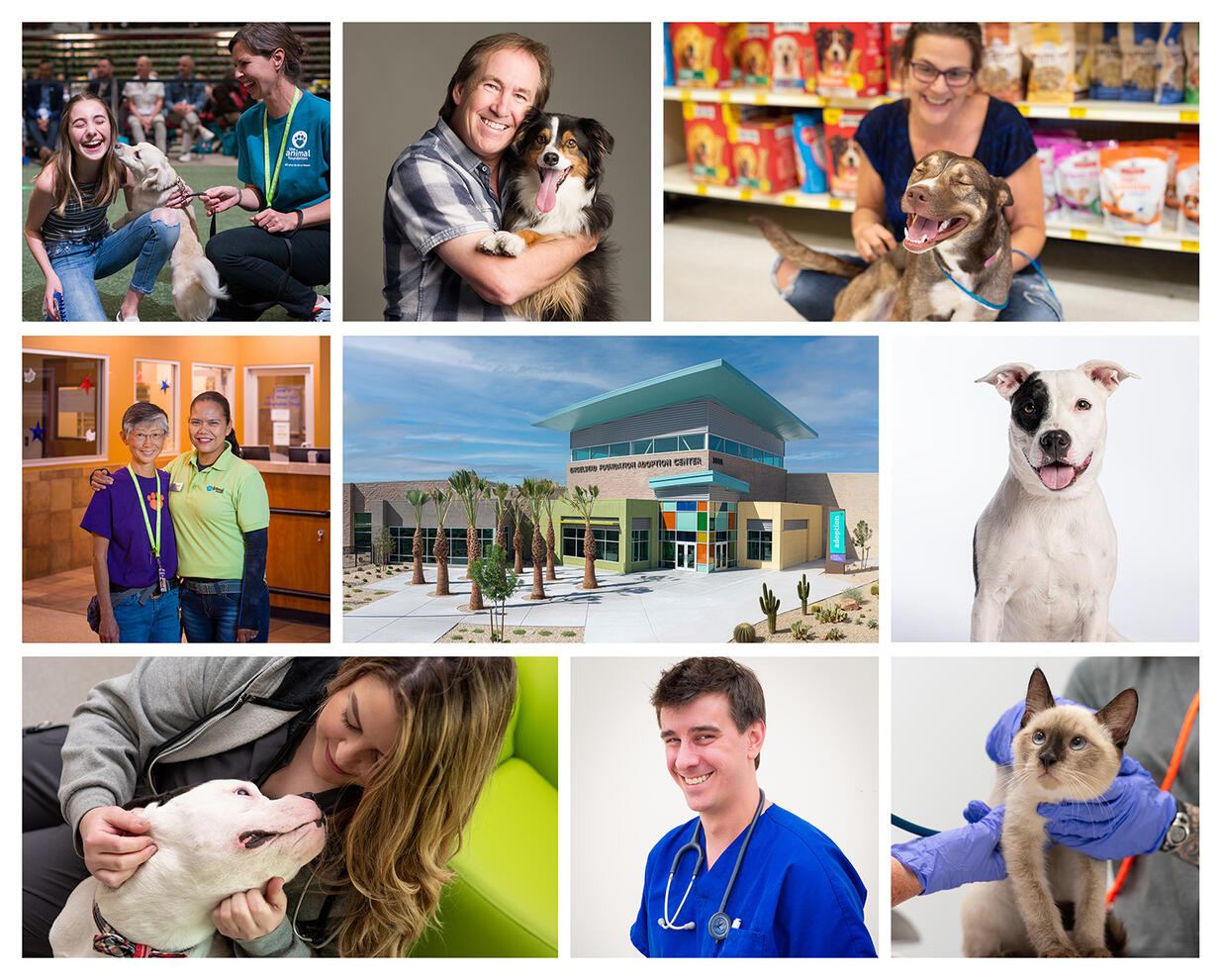 Image collage of commercial marketing photos for The Animal Foundation in Las Vegas dogs smiling cat vets by Tampa photographer Sidney Oster