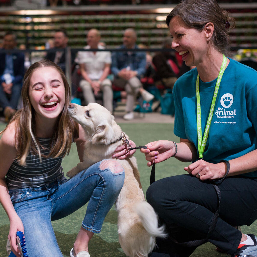 Girl dog show laughing the animal foundation