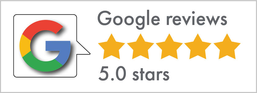 5 star Google reviews Sidney Oster Photography Tampa Bay professional photographer corporate headshots events