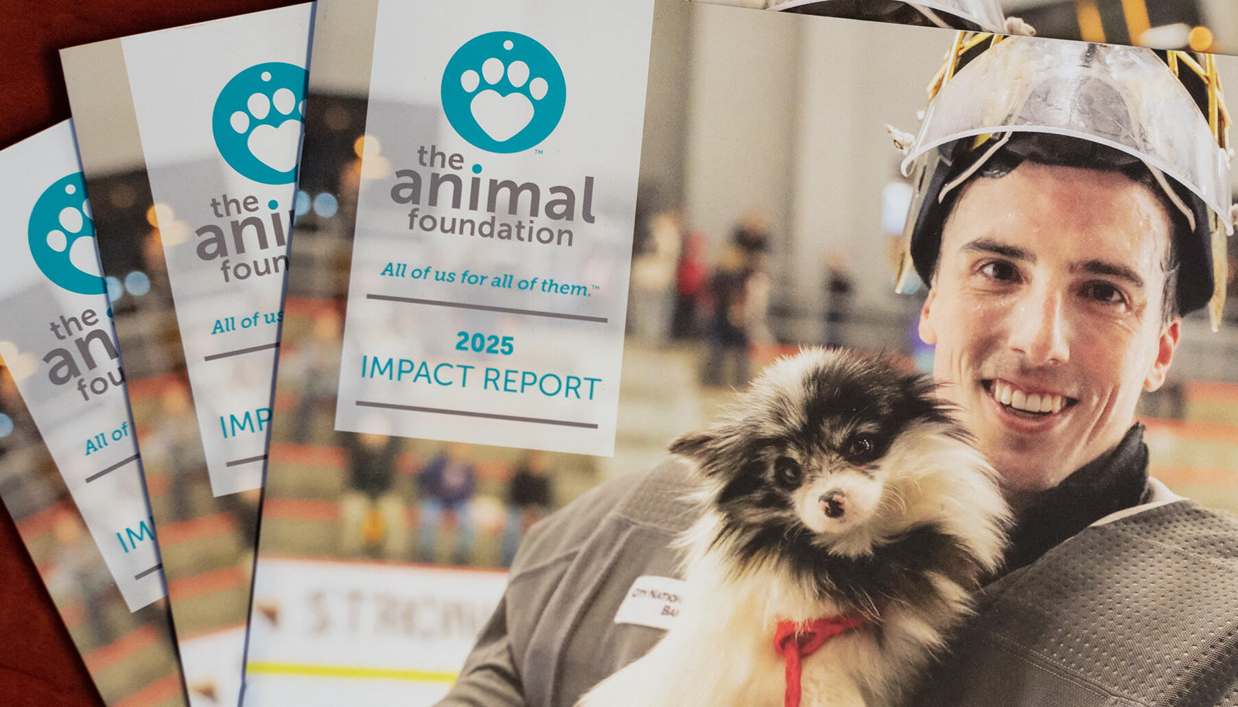 The Animal Foundation 2025 Impact Report featuring photography by Tampa photographer Sidney Oster showing Vegas Knights player with rescue dog