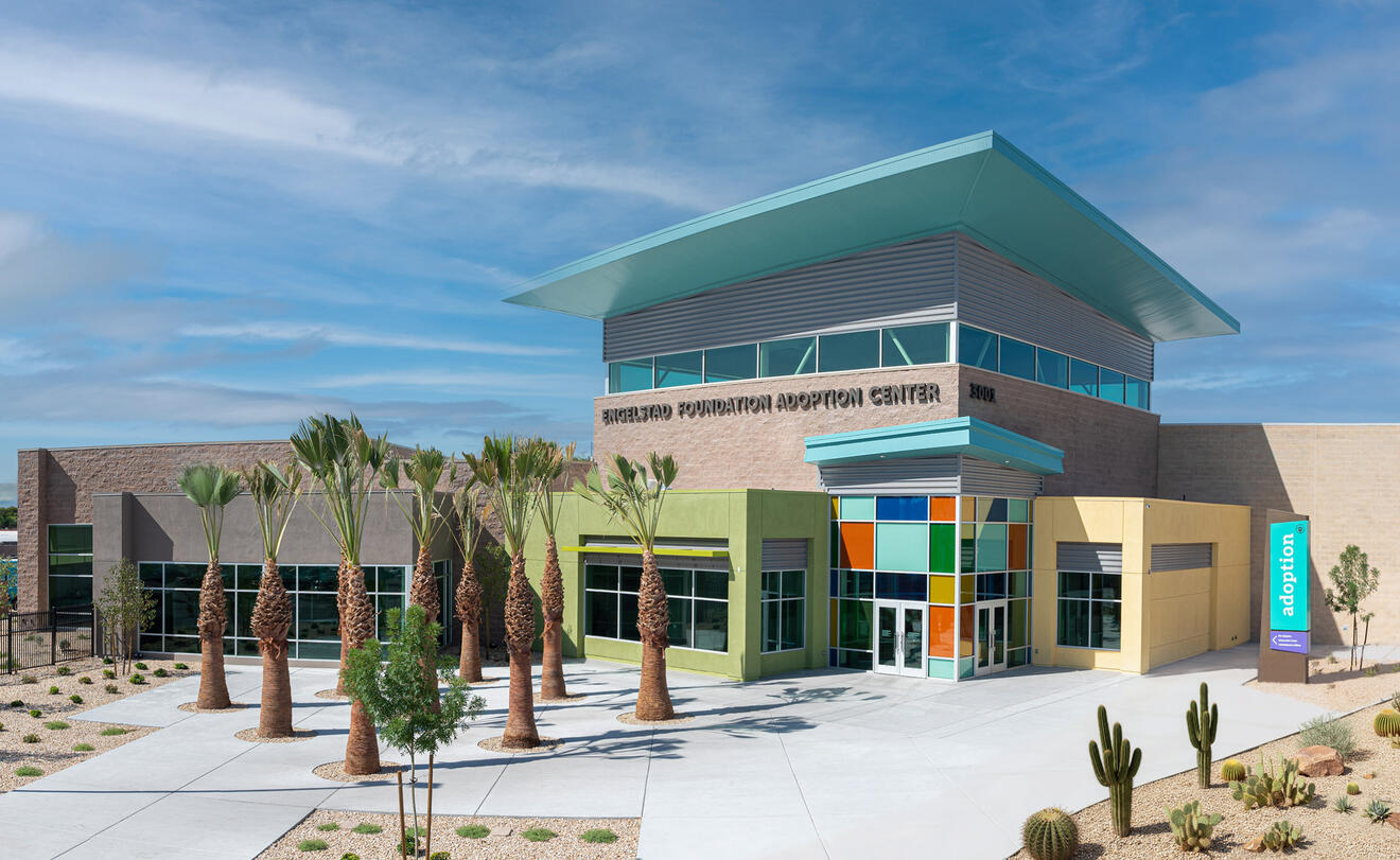 The Animal Foundation Adoption Center exterior commercial architecture photography by Tampa photographer Sidney Oster showing modern facility design